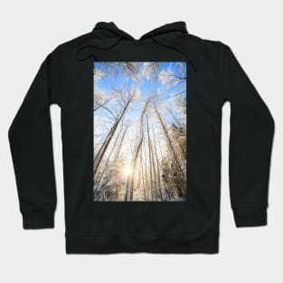 Winter forest Hoodie